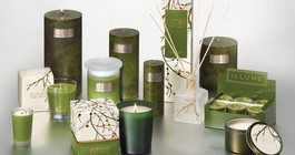 Illume winter Illume winter